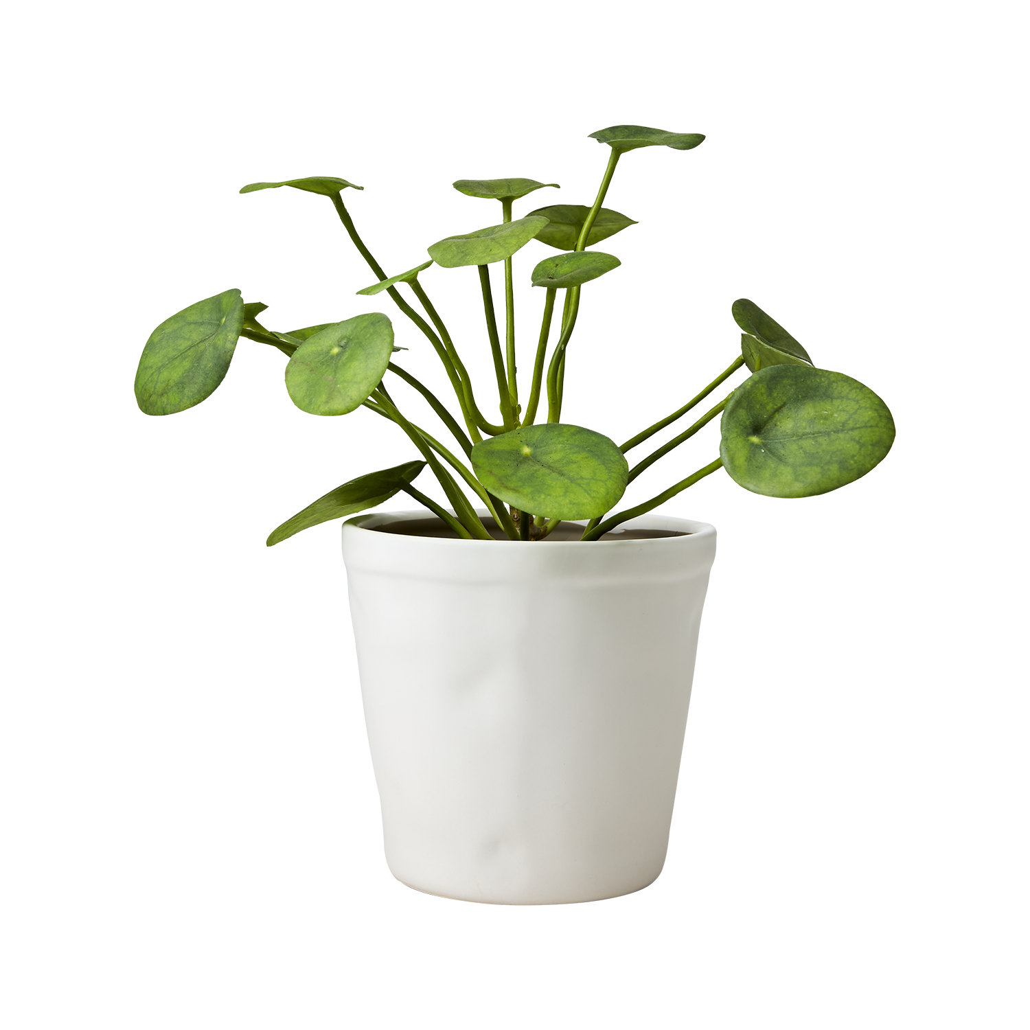 Maceta Cocos, blanco