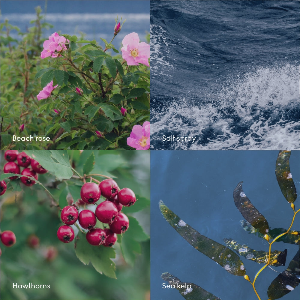 Skandinavisk – Vela aromática “HAV”, 200 g