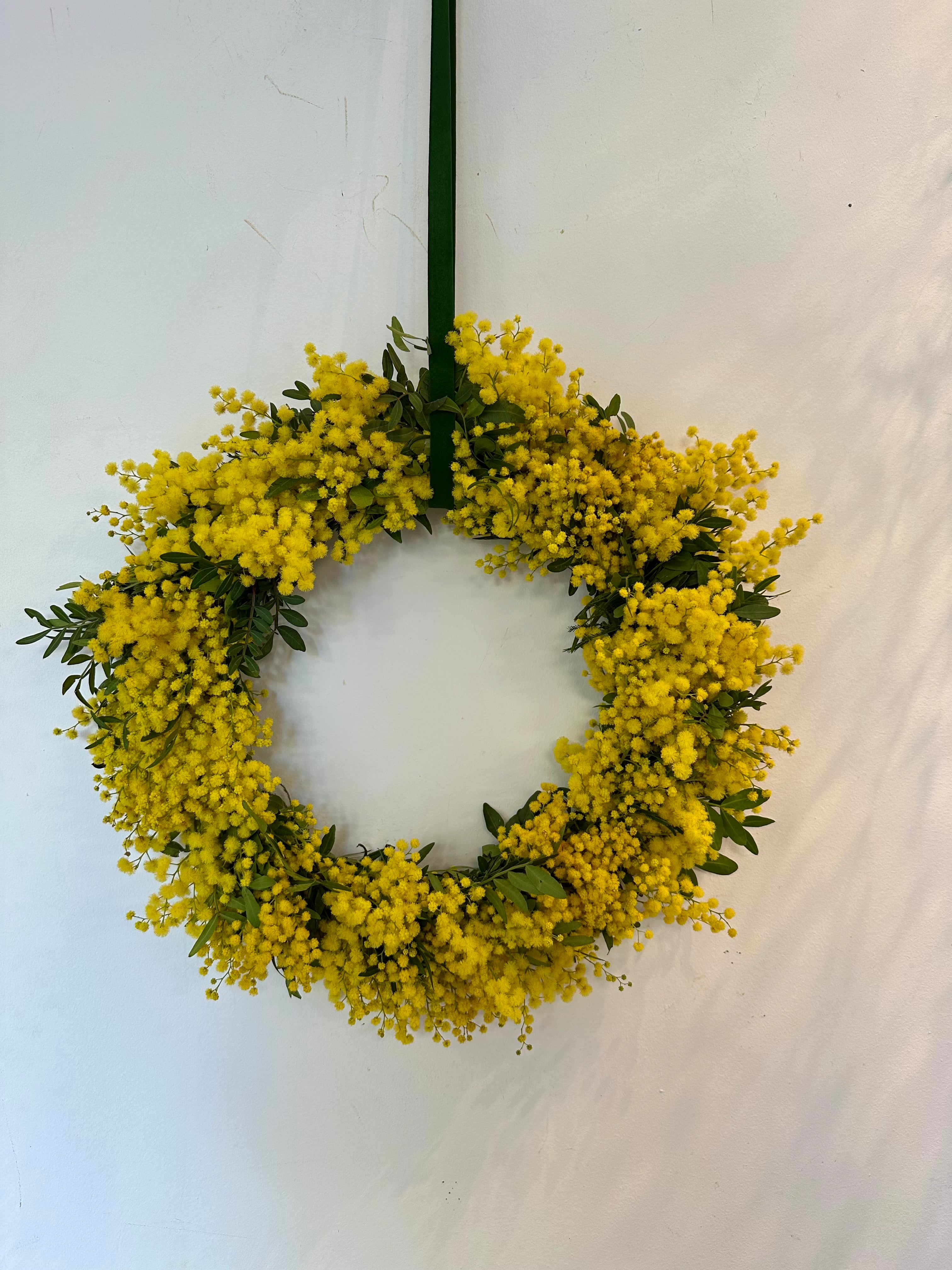 Detalle de la textura de la corona de mimosa natural, con enfoque en los matices amarillos.