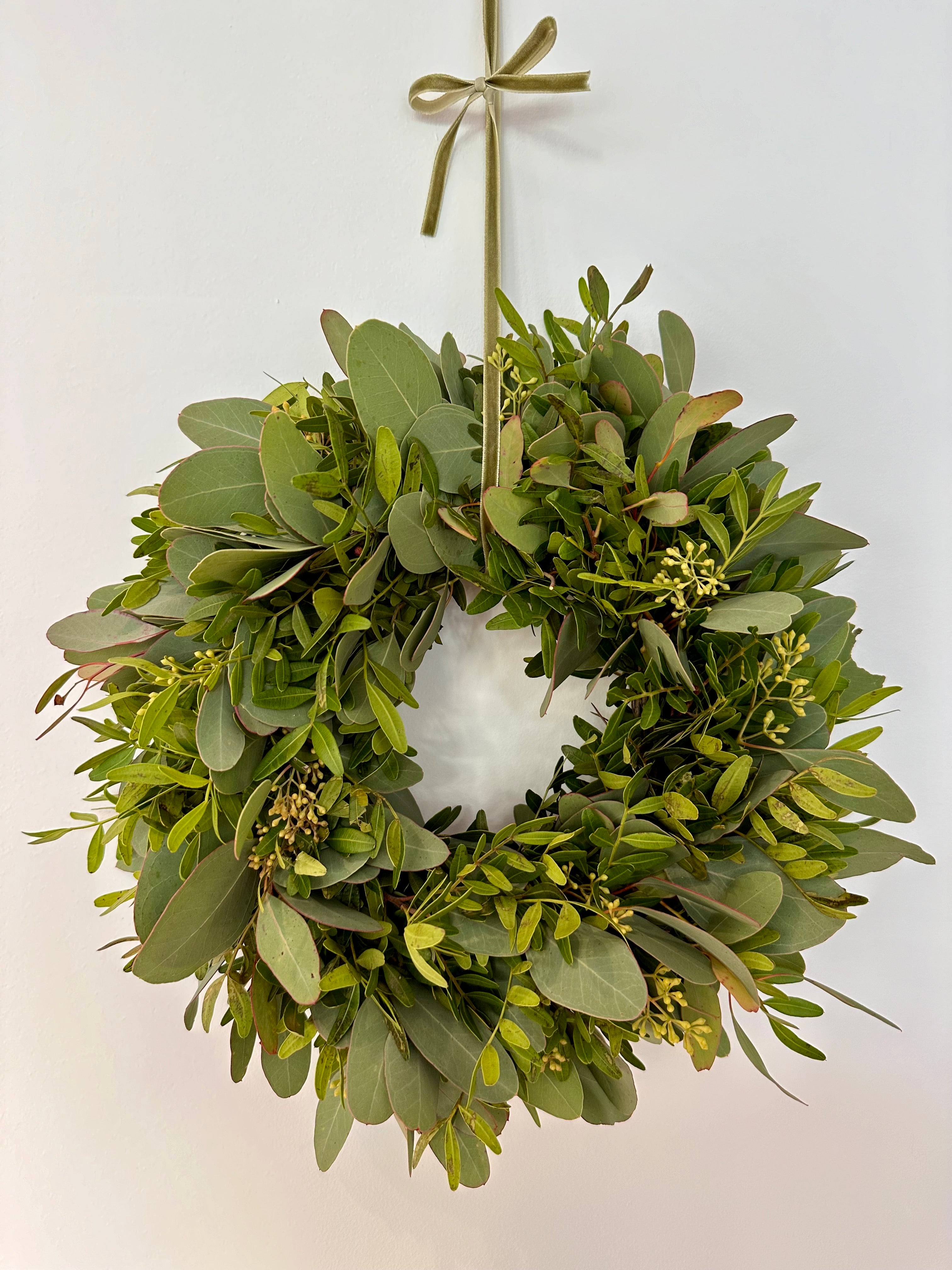 Corona pequeña, verde natural