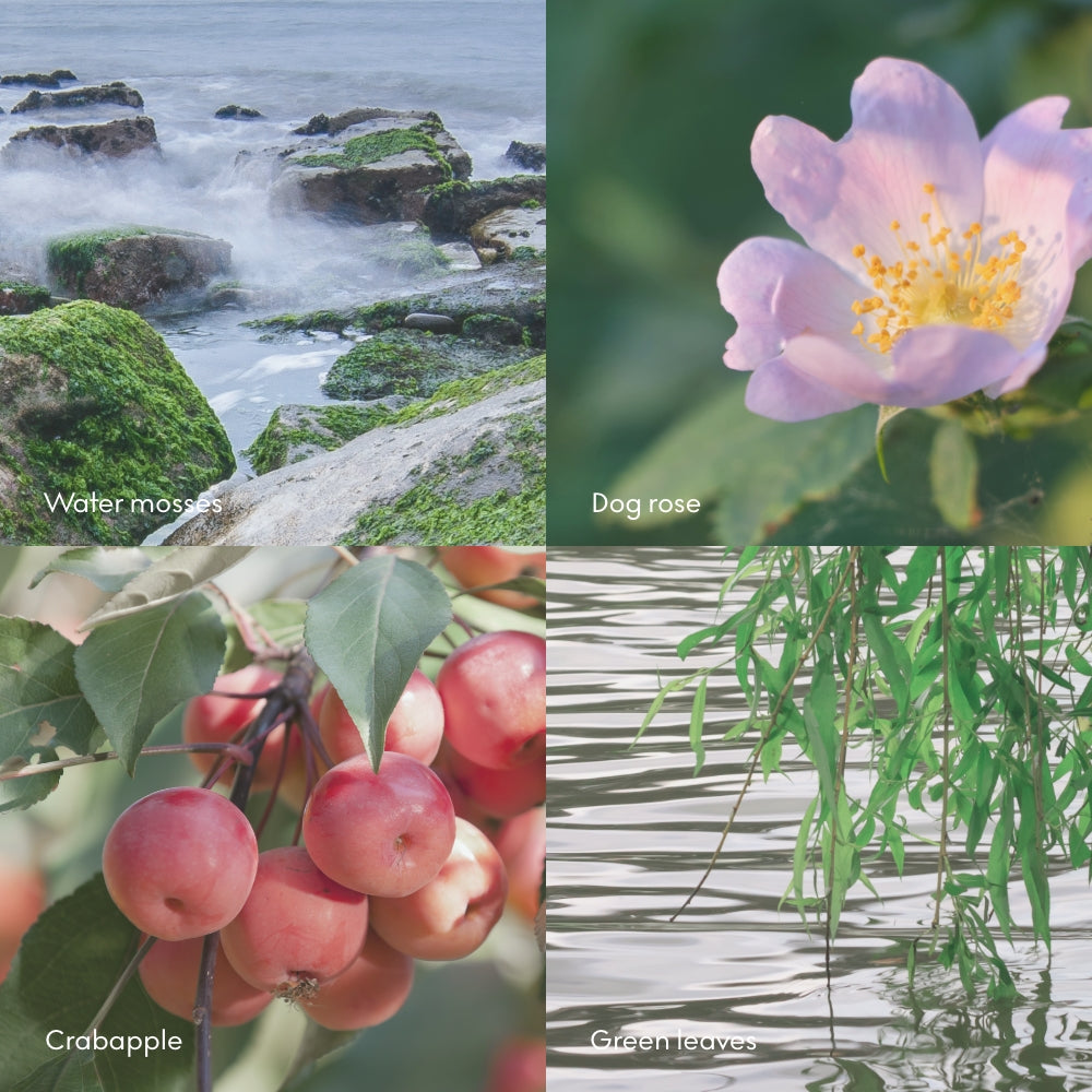 Skandinavisk – Vela aromática ØY, 200 g