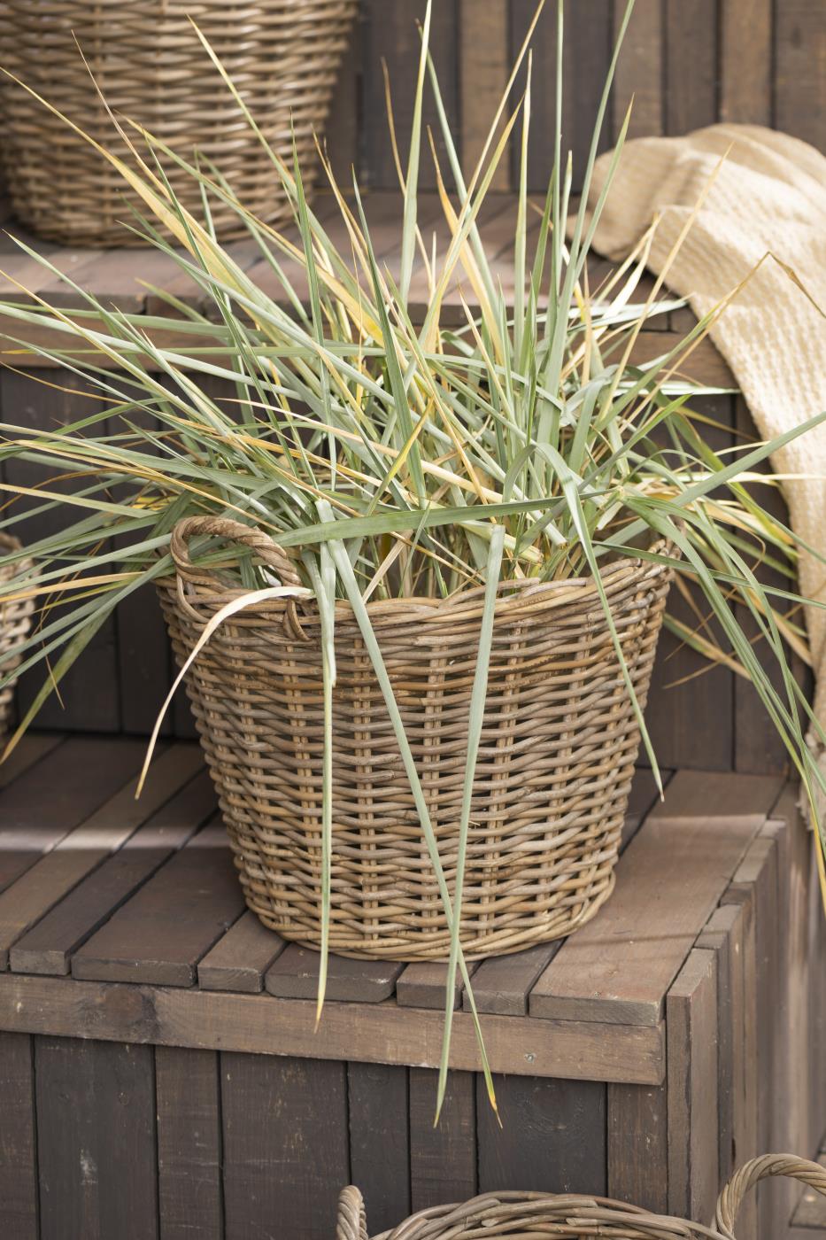 Cesta de ratán grande