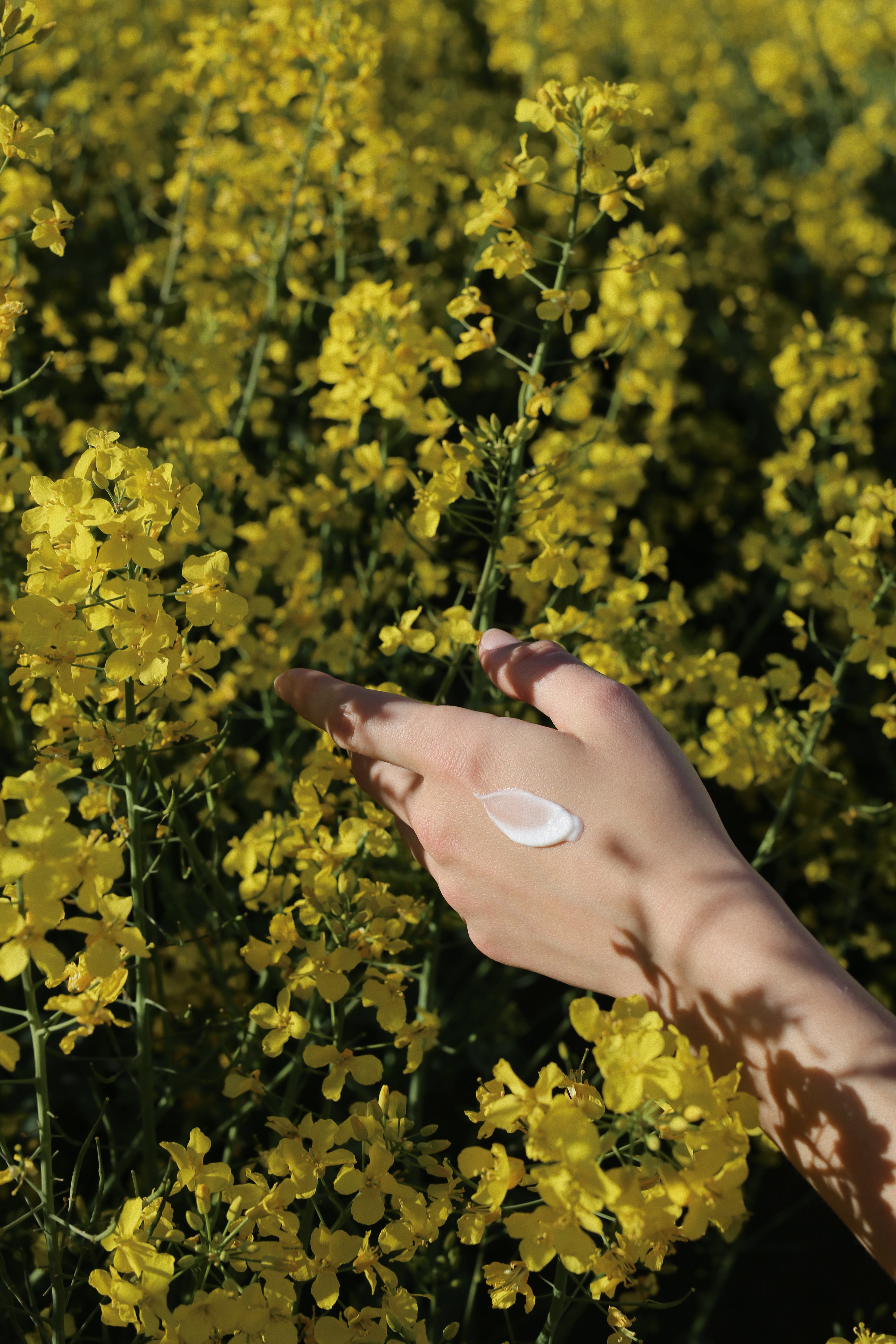 Skandinavisk – Crema de manos “FJORD”, 75 ml