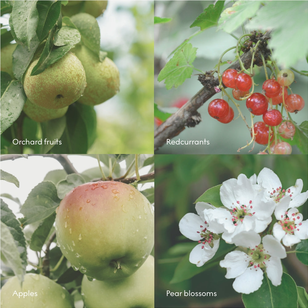 Skandinavisk – Crema de manos “FJORD”, 75 ml