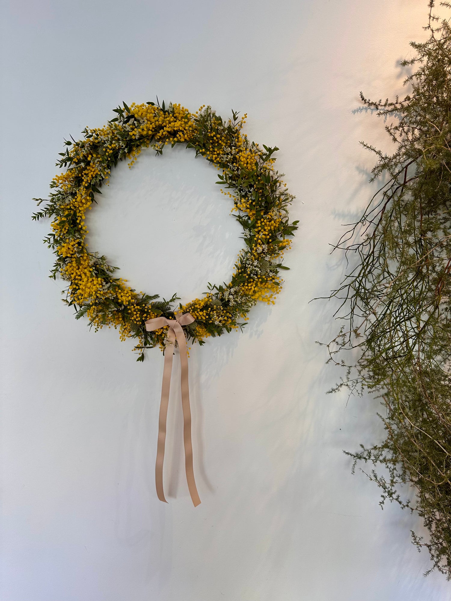 Corona de mimosa natural