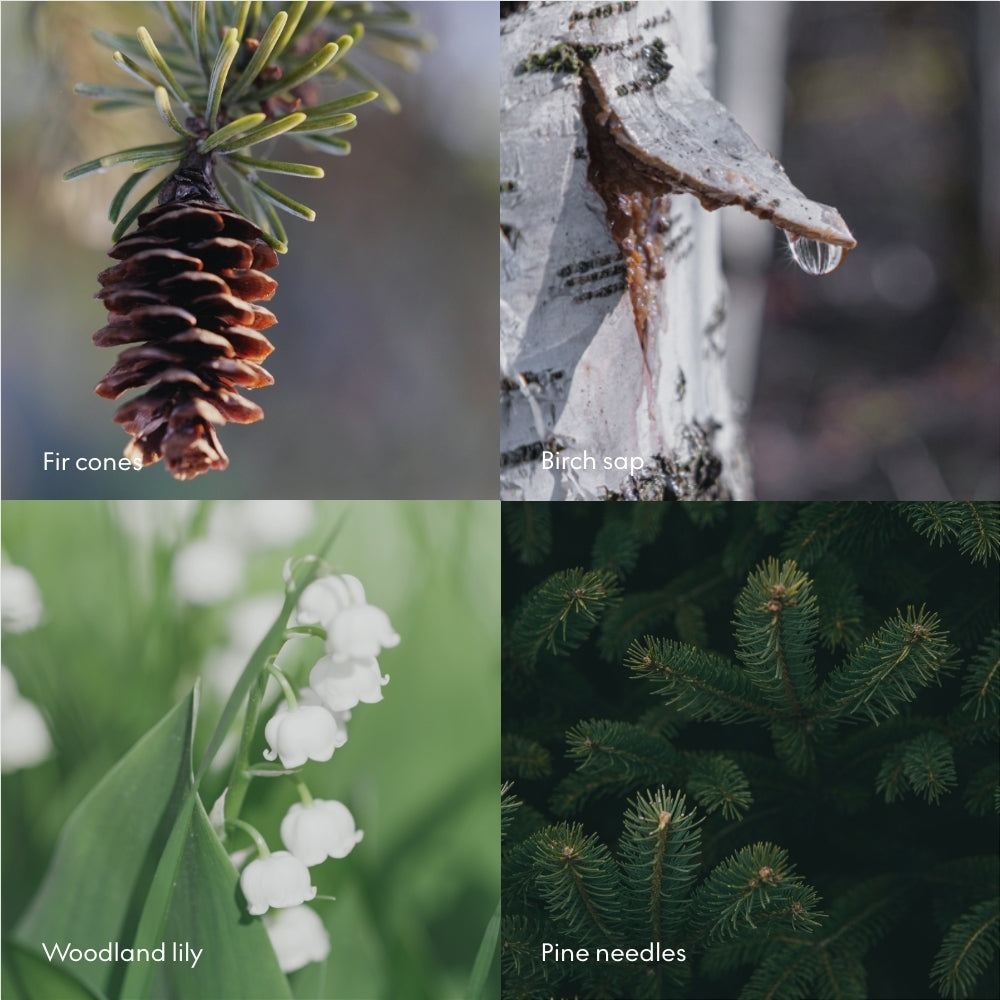 Skandinavisk – Crema de manos “SKOG”, 75 ml