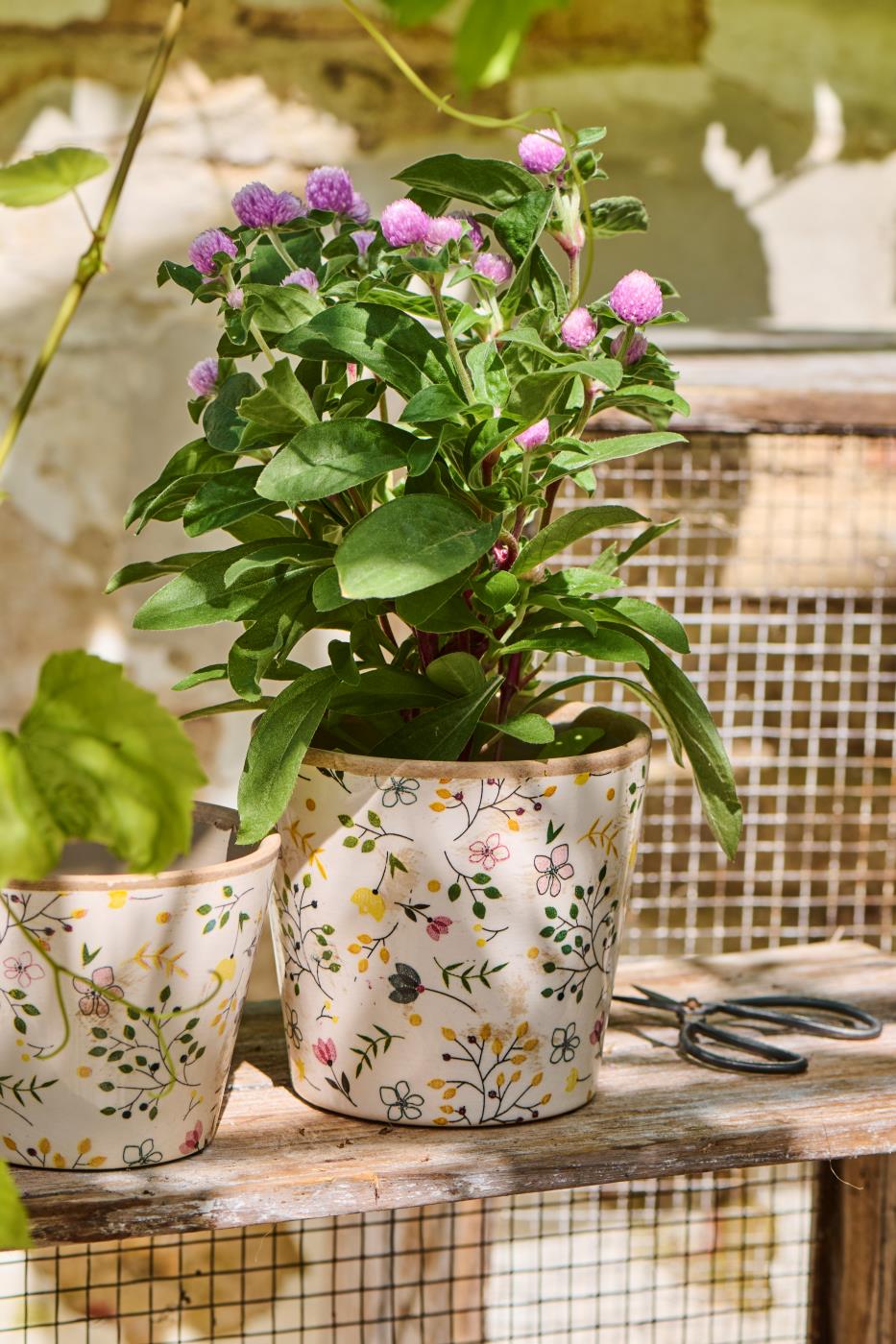 Maceta con estampado floral