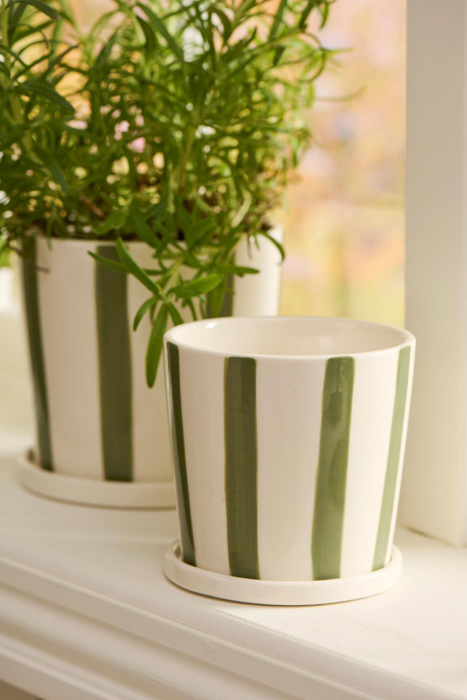 Maceta con platillo rayas verdes, pequeño