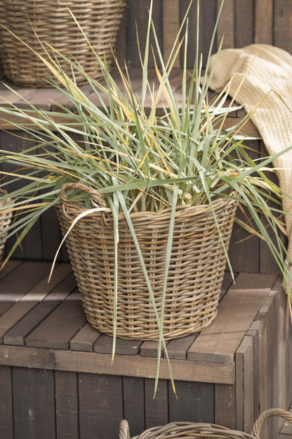 Cesta de ratán grande