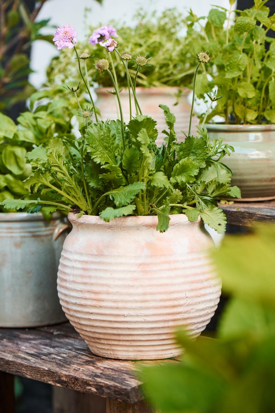 Maceta Margot grande