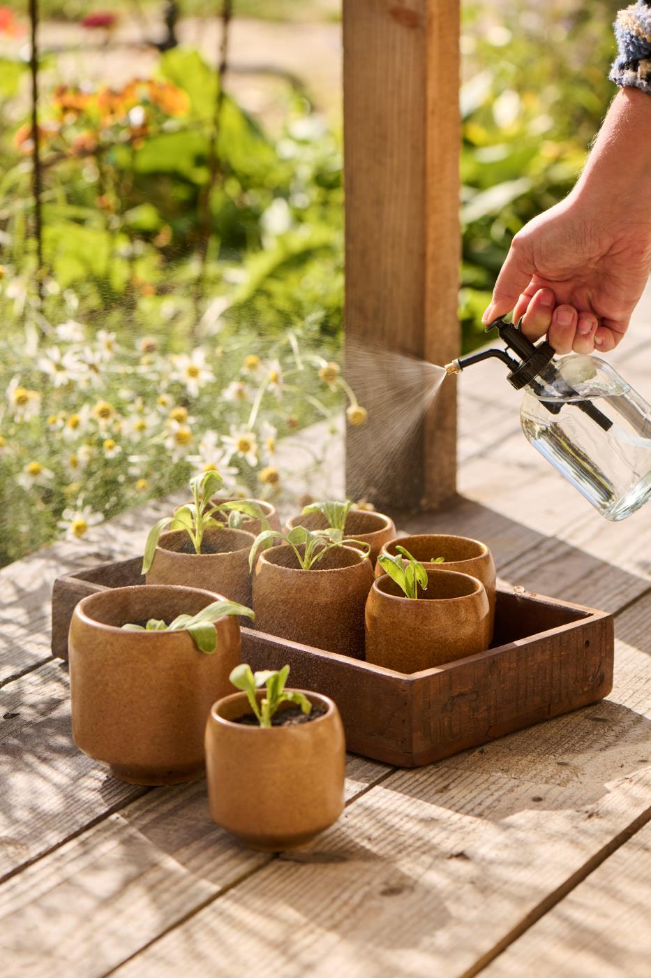 Atomizador de cristal